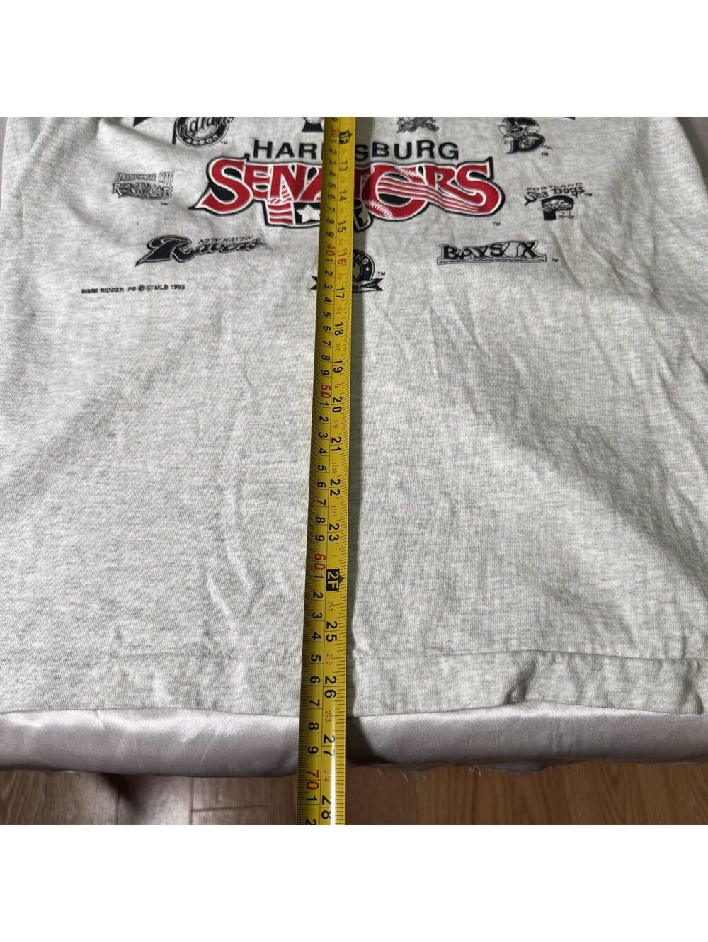 Vintage 1995 Eastern League Harrisburg Senators Baseball Tee Medium Made in USA - Picture 8 of 8